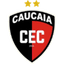 Caucaia 队徽