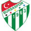 Bursaspor 队徽