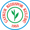 Rizespor 队徽