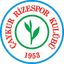 Rizespor 队徽