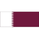 Qatar U20 队徽