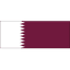 Qatar U20 队徽