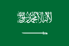 Saudi Arabia U20 队徽