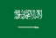 Saudi Arabia U20 队徽