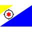 Bonaire 队徽