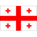 Georgia 队徽