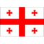 Georgia 队徽