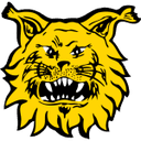 Ilves 队徽