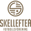 Skellefteå 队徽