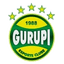 Gurupi 队徽