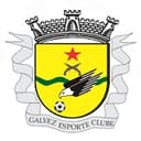 Galvez 队徽
