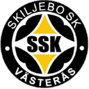 Skiljebo 队徽