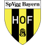 Bayern Hof 队徽