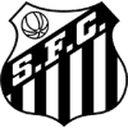 Santos 队徽