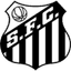 Santos 队徽
