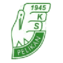 Pelikan Łowicz 队徽