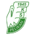 Pelikan Łowicz 队徽