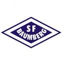 SF Baumberg 队徽