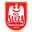 Ślęza Wrocław 队徽