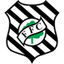 Figueirense 队徽