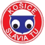 Slávia TU Košice 队徽