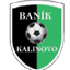 Baník Kalinovo 队徽