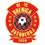 Drenica Skënderaj 队徽