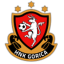 Gori 队徽