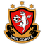 Gori 队徽