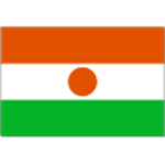 Niger 队徽