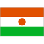 Niger 队徽