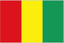 Guinea 队徽