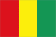 Guinea 队徽