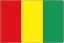 Guinea 队徽