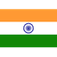 India 队徽