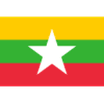 Myanmar 队徽