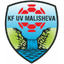 Malisheva 队徽