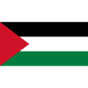 Palestine 队徽