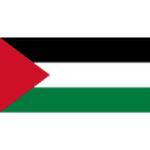 Palestine 队徽