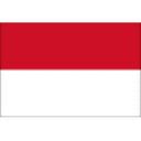 Indonesia 队徽