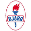 Bjarg 队徽