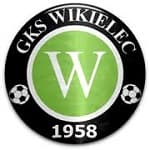 Wikielec 队徽