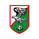 Sokół Kleczew 队徽