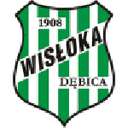 Wisłoka Dębica 队徽
