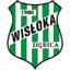 Wisłoka Dębica 队徽