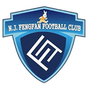 Nanjing City 队徽