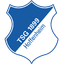 1899 Hoffenheim 队徽