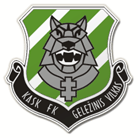 Geležinis Vilkas 队徽