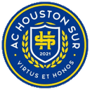 Houston Sur 队徽