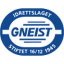 Gneist 队徽